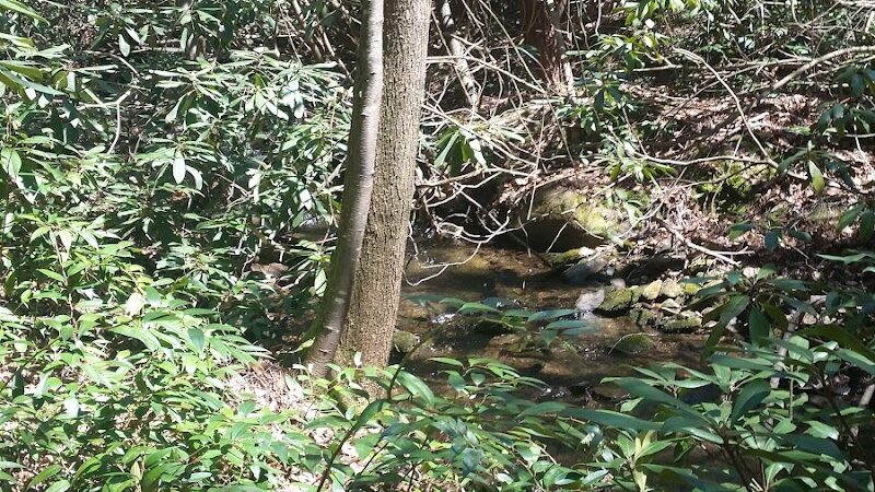 Rock Creek Trailhead - Turtletown, TN