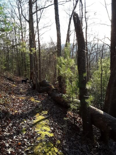 Rock Creek Trailhead - Turtletown, TN