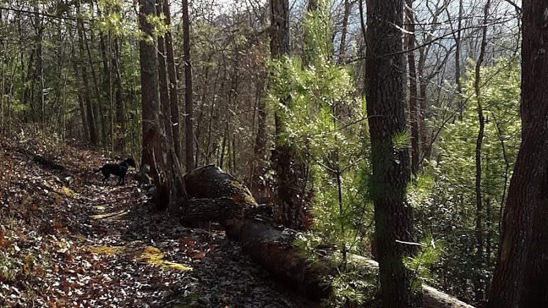 Rock Creek Trailhead - Turtletown, TN
