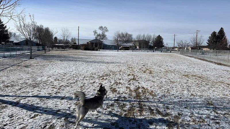 Dog Park