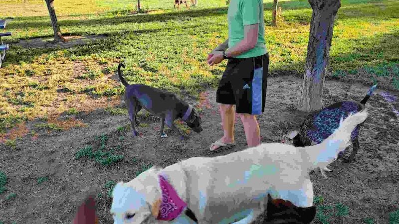 Dog Park