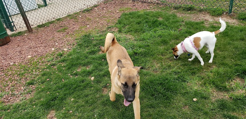 Warren Close Bark Park - Twin Lakes, WI