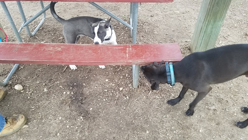 Warren Close Bark Park - Twin Lakes, WI