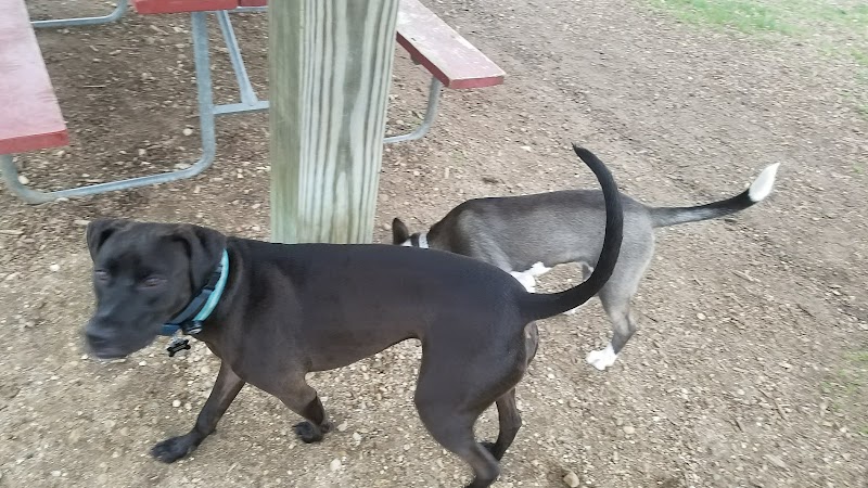 Warren Close Bark Park - Twin Lakes, WI