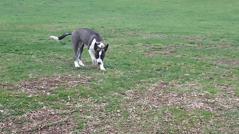 Warren Close Bark Park - Twin Lakes, WI