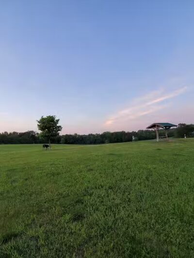 Warren Close Bark Park - Twin Lakes, WI