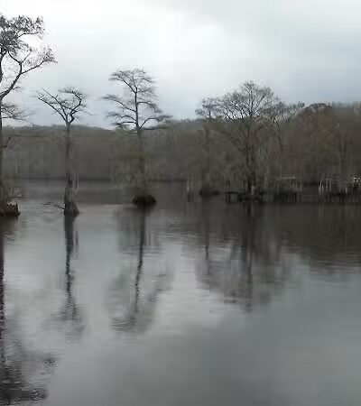 J. Robert Hendrix Park - Tyner, NC
