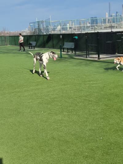 Washington Park - Union City, NJ