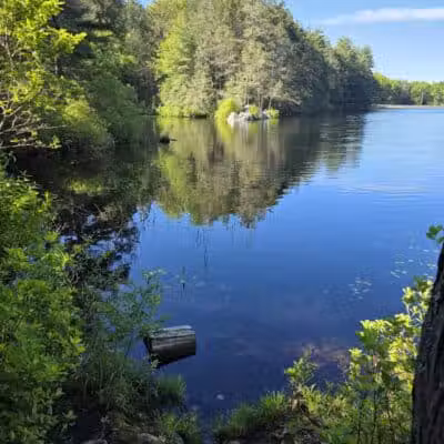 Bigelow Hollow State Park - Union, CT