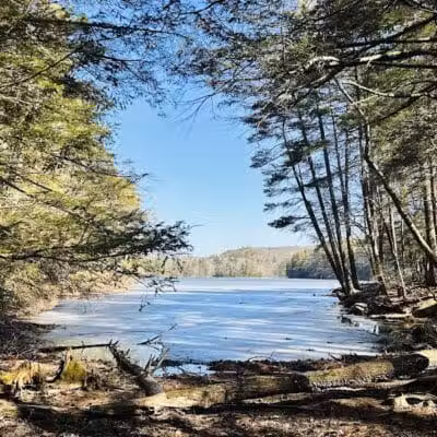 Bigelow Hollow State Park - Union, CT