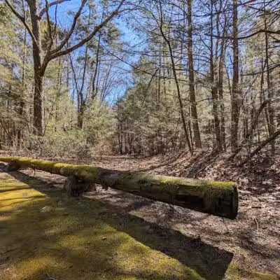 Bigelow Hollow State Park - Union, CT