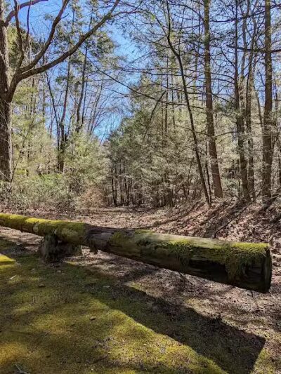 Bigelow Hollow State Park - Union, CT