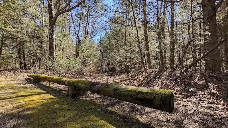 Bigelow Hollow State Park - Union, CT