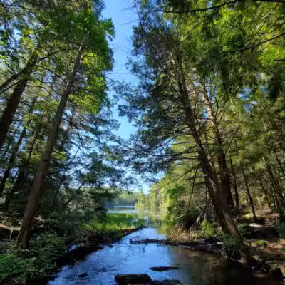 Bigelow Hollow State Park - Union, CT