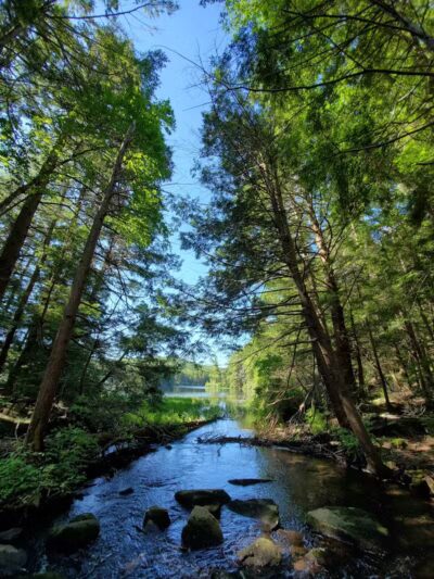 Bigelow Hollow State Park - Union, CT