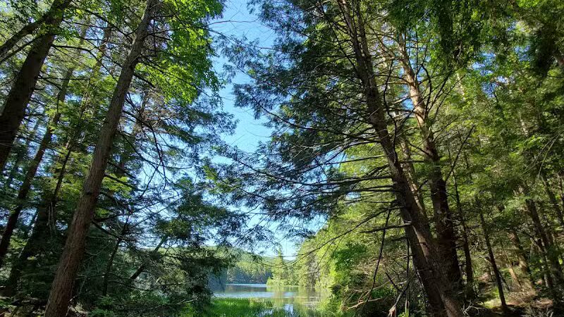 Bigelow Hollow State Park - Union, CT