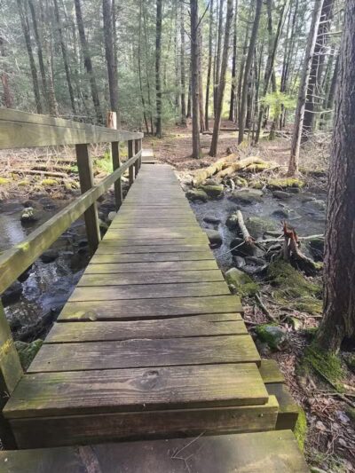 Bigelow Hollow State Park - Union, CT
