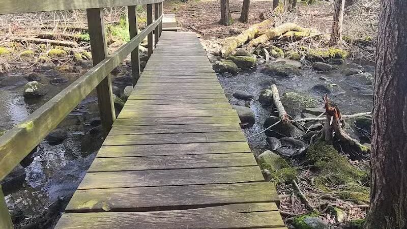 Bigelow Hollow State Park - Union, CT