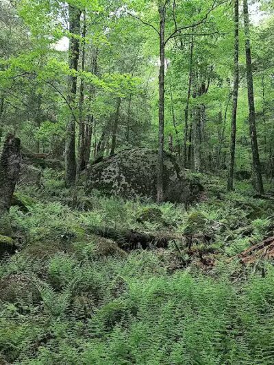 Bigelow Hollow State Park - Union, CT
