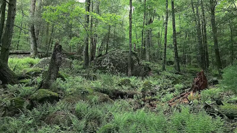 Bigelow Hollow State Park - Union, CT