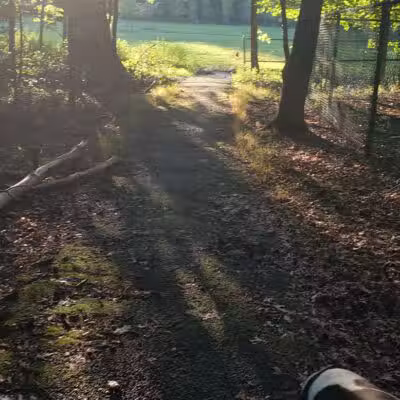 Kennedy Reservation - Union, NJ