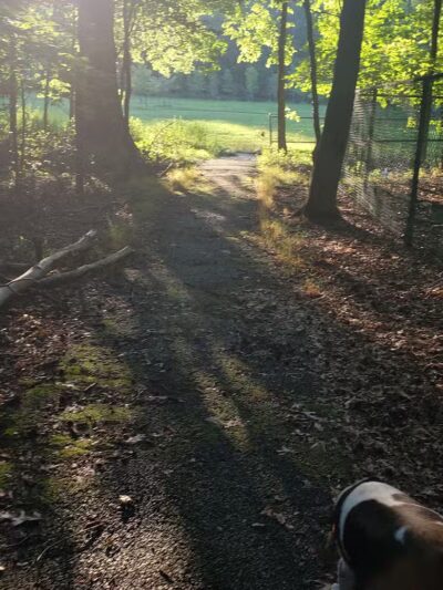 Kennedy Reservation - Union, NJ