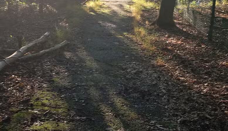 Kennedy Reservation - Union, NJ