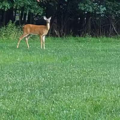 Kennedy Reservation - Union, NJ