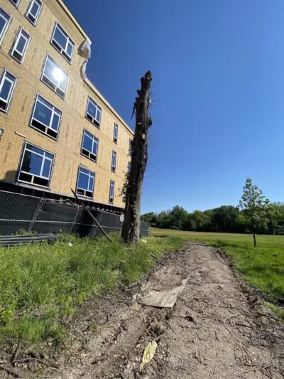 Zimmerman Park - Union, NJ