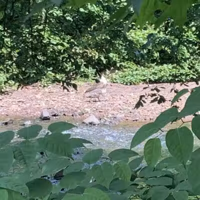 Zimmerman Park - Union, NJ