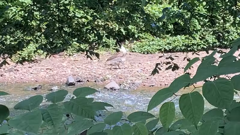 Zimmerman Park - Union, NJ