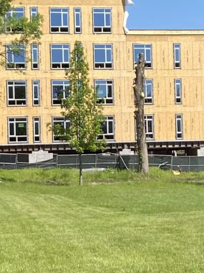 Zimmerman Park - Union, NJ