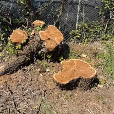 Zimmerman Park - Union, NJ