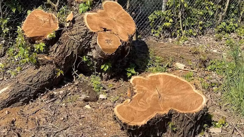 Zimmerman Park - Union, NJ