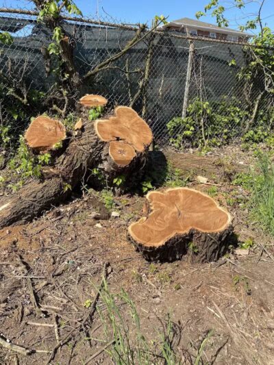 Zimmerman Park - Union, NJ