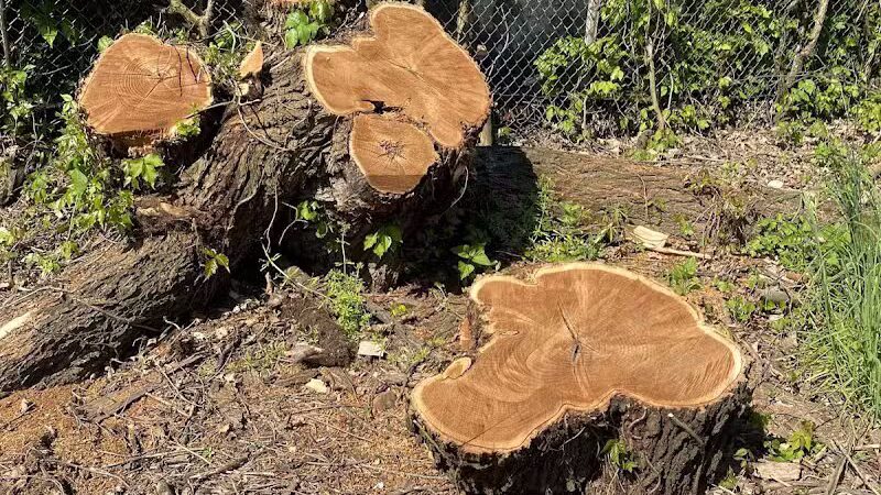 Zimmerman Park - Union, NJ