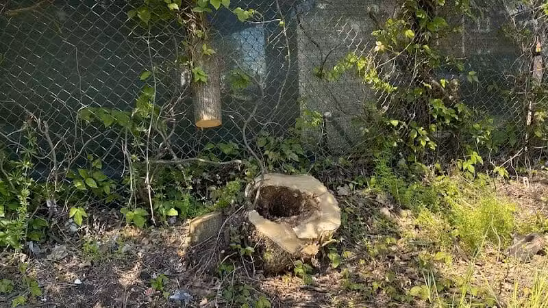Zimmerman Park - Union, NJ