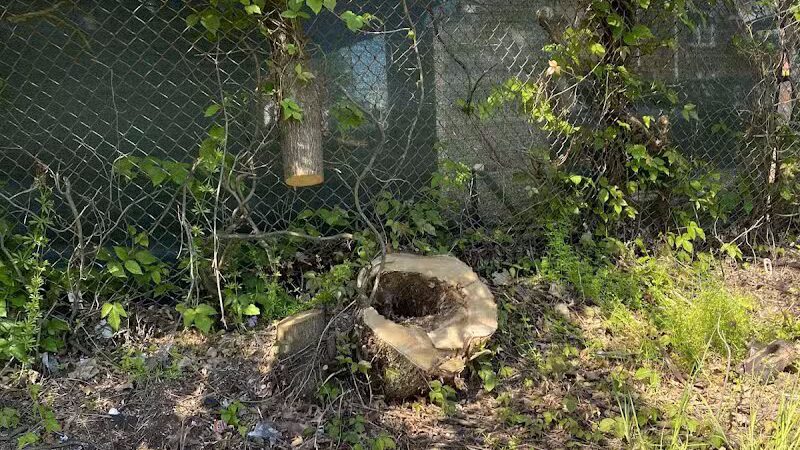 Zimmerman Park - Union, NJ