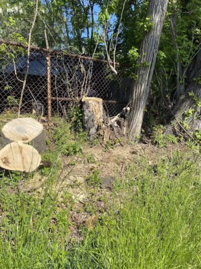 Zimmerman Park - Union, NJ