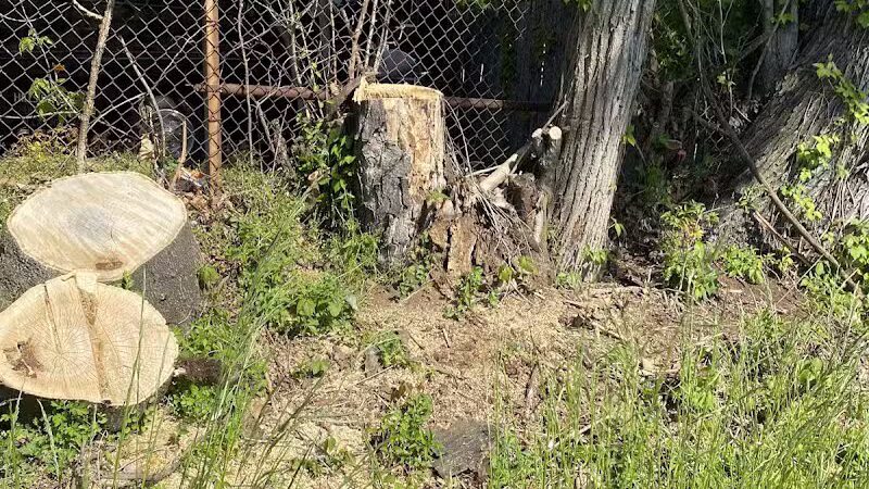 Zimmerman Park - Union, NJ