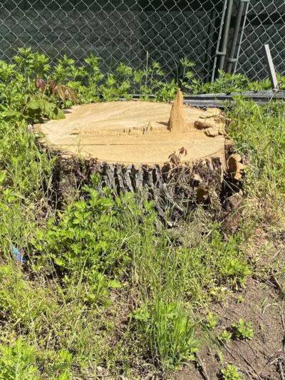 Zimmerman Park - Union, NJ