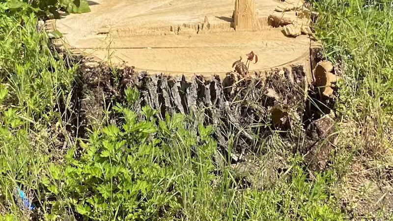 Zimmerman Park - Union, NJ