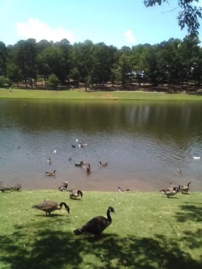 Foster Park - Union, SC