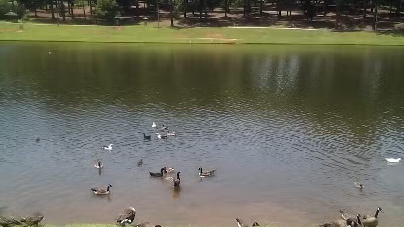 Foster Park - Union, SC