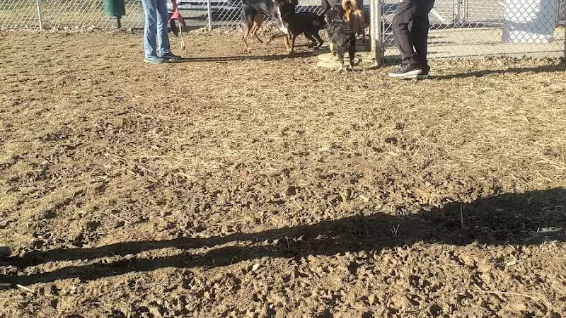 Tails on the Trail (Dog Park) - Uniontown, PA