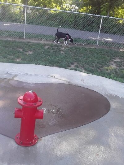 Tails on the Trail (Dog Park) - Uniontown, PA