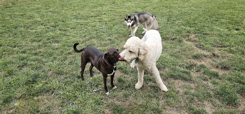 Tails on the Trail (Dog Park) - Uniontown, PA
