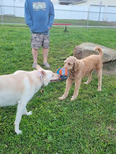 Tails on the Trail (Dog Park) - Uniontown, PA
