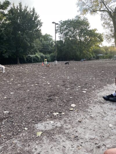 University City Dog Park (Membership Only) - University City, MO