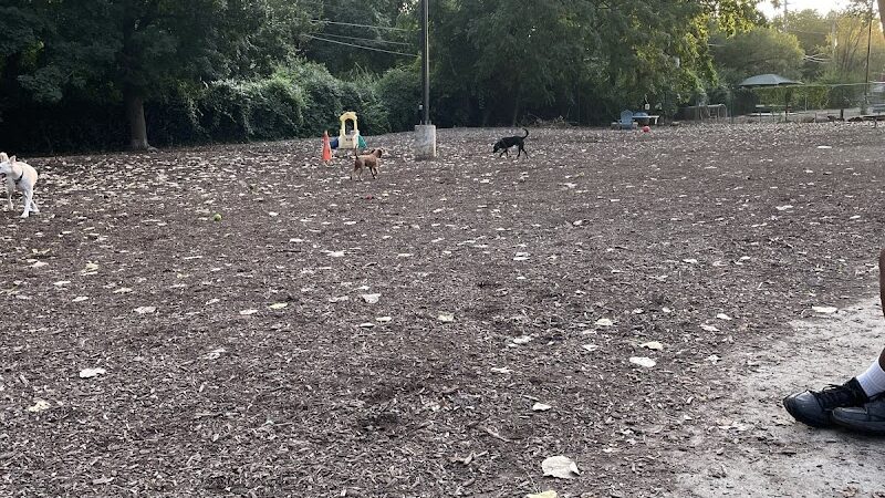 University City Dog Park (Membership Only) - University City, MO